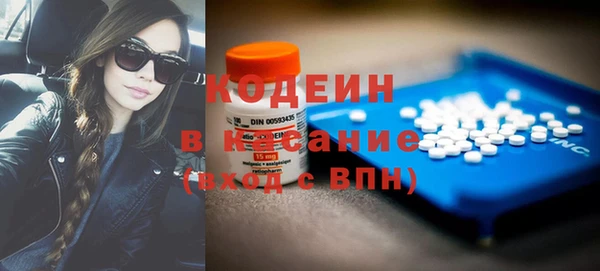 шишки Надым