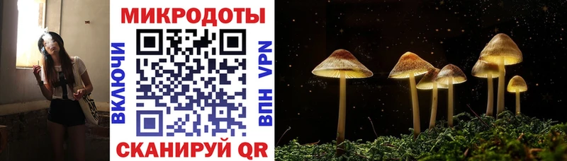 Псилоцибиновые грибы Psilocybine cubensis  маркетплейс формула  Малаховка  сколько стоит 